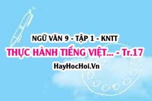Soạn bài Thực hành tiếng Việt trang 17 Ngữ văn lớp 9 tập 1 Kết nối tri thức